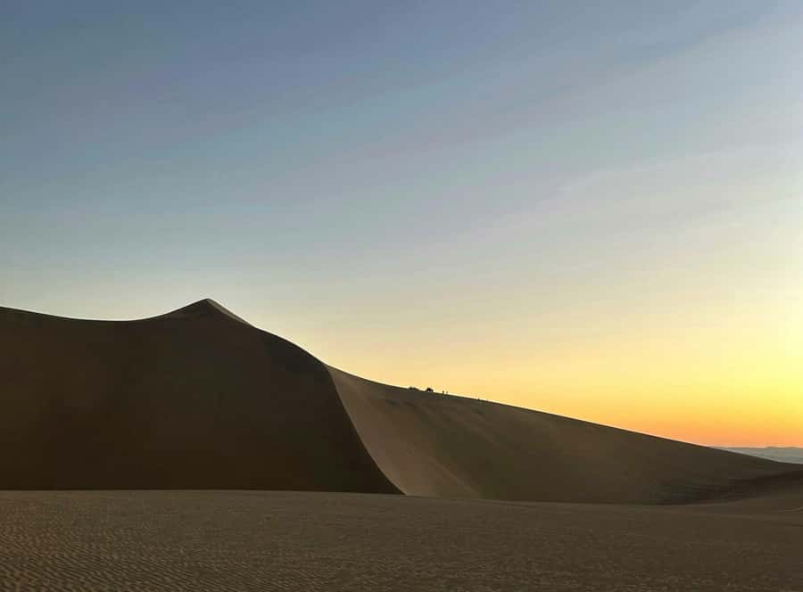 From Lima: Huacachina Oasis & Ballestas Island - ENGL / ESPA - Lunch, local Pisco, and the Nieto winery