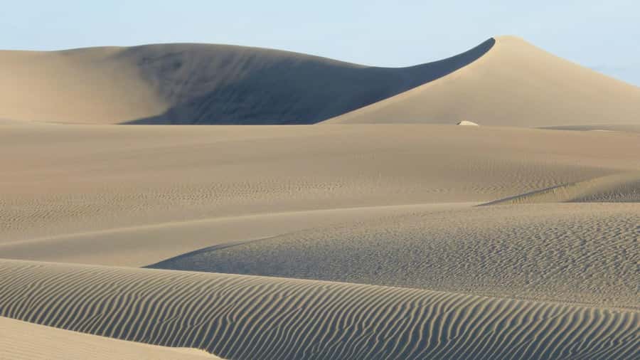 From Lima: Huacachina Oasis & Ballestas Island - ENGL / ESPA - The final stop and the long ride home