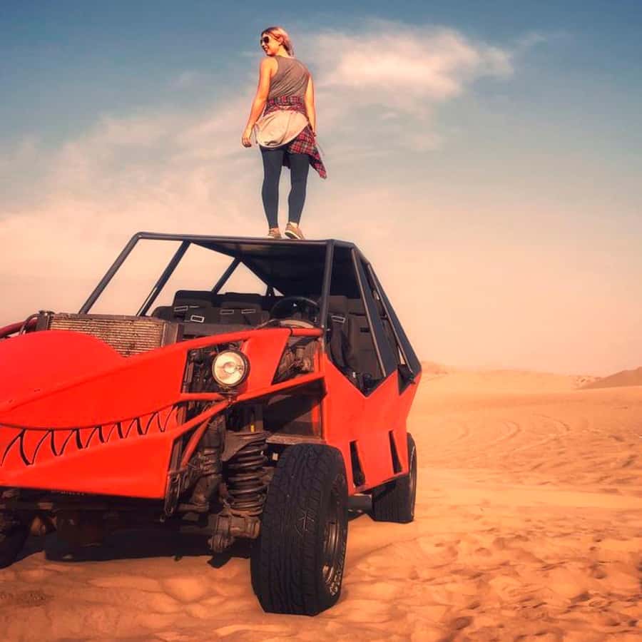 From Lima: Huacachina & Paracas Aventure Tour All Included - Who should book this tour?