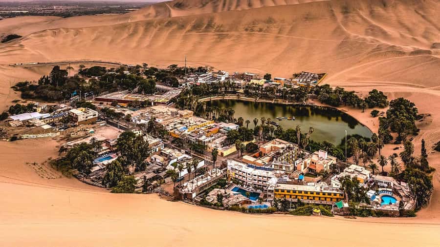 From Lima: Paracas and Huacachina Day Trip with Buggy Ride - Sandboarding for beginners and thrill seekers