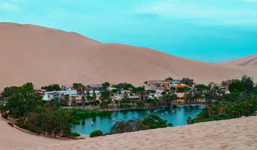 From Lima: Paracas and Huacachina Day Trip with Buggy Ride - What the $100 price really covers