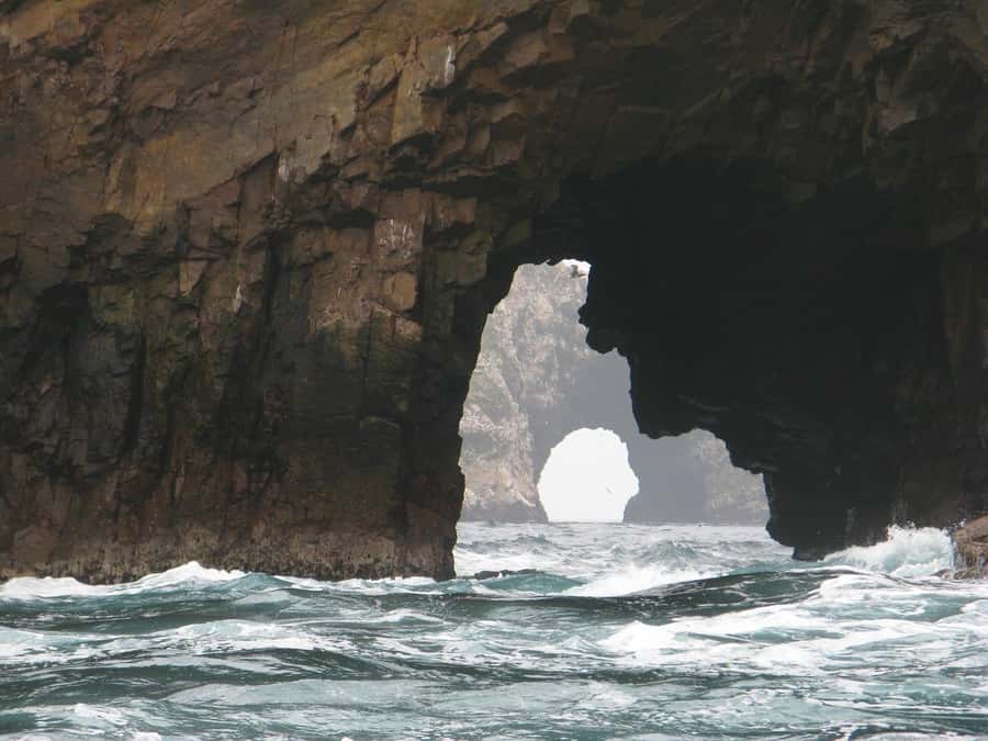 From Lima: Paracas and Huacachina Oasis Full Day Tour - A short break in Paracas