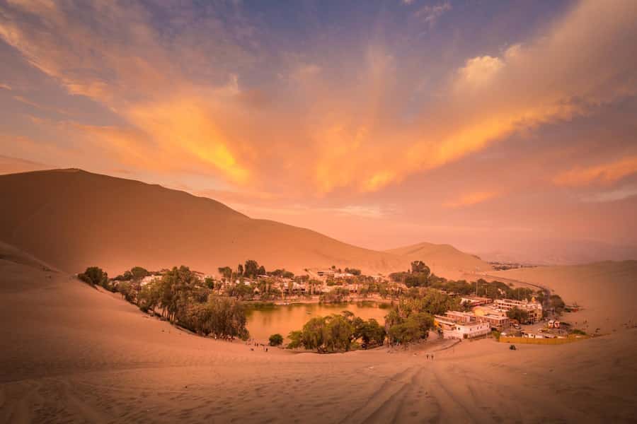 From Lima: Paracas and Huacachina Oasis Full Day Tour - The 5:30 am departure and four-hour ride to Paracas