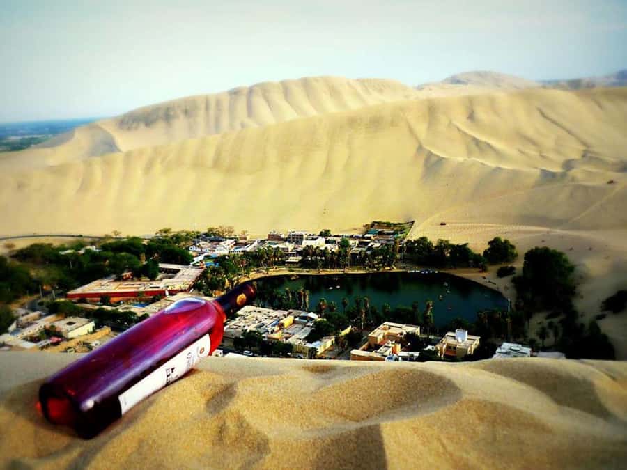 From Lima:Paracas Ballestas Islands and Ica Oasis 1 day Tour - The early start from Lima