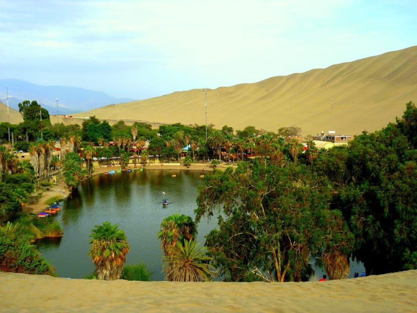 From Lima:Paracas Ballestas Islands and Ica Oasis 1 day Tour - What the $76 price really covers