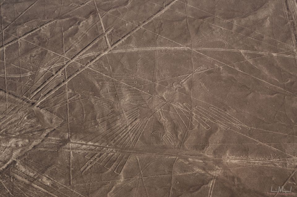 From Nazca: 35-Minute Flight Over Nazca Lines - Who should book this flight?