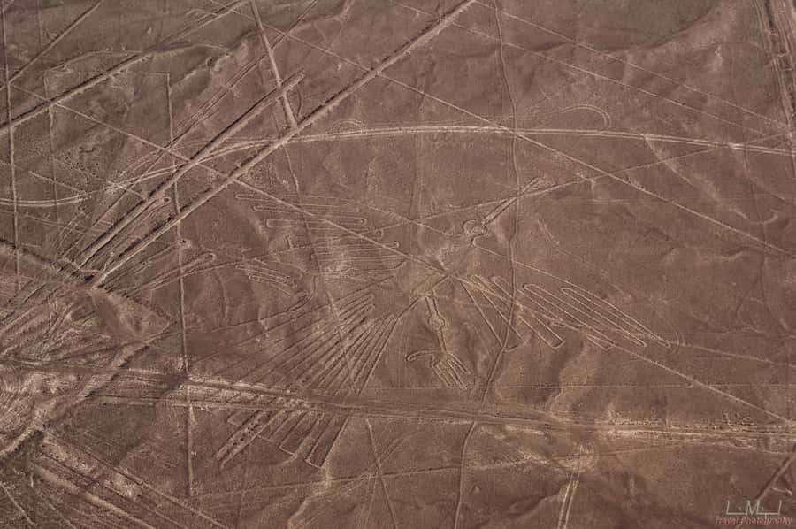 From Nazca: 35-Minute Flight Over Nazca Lines - Check-in, cash fees, and the weight limit