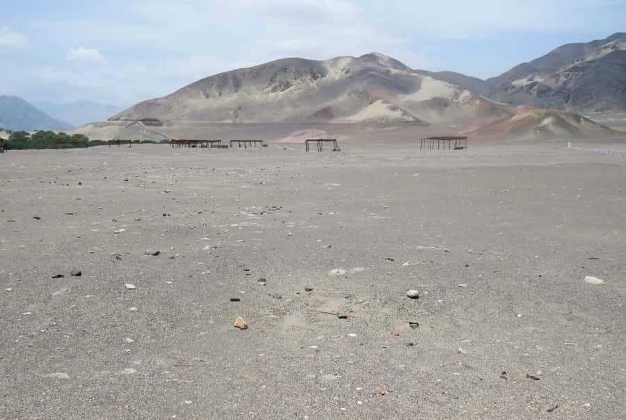 From Nazca: Chauchilla Cemetery Tour and Artisans Workshop - What the cemetery can and cannot offer