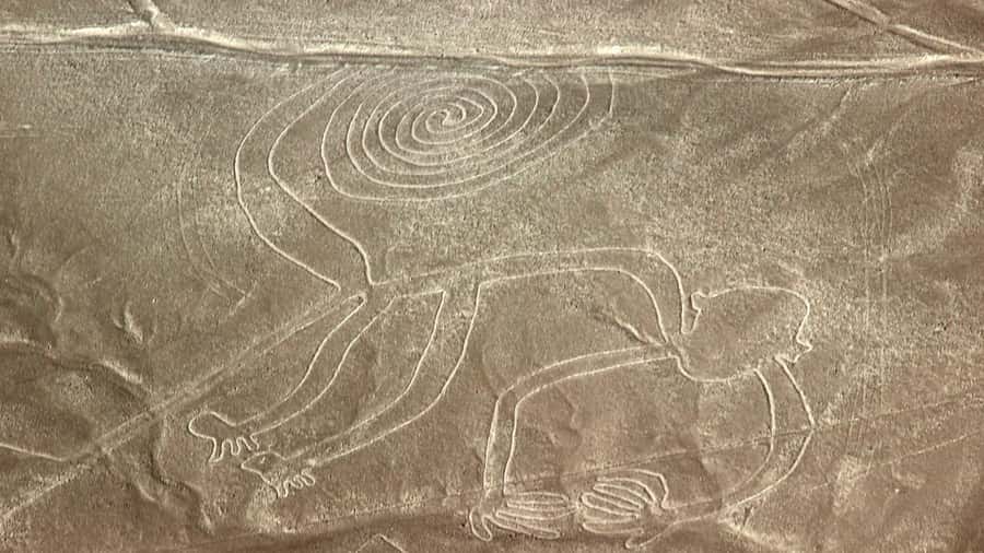 From Nazca: Flight in a light aircraft over the Nazca Lines - Key points to know before you book