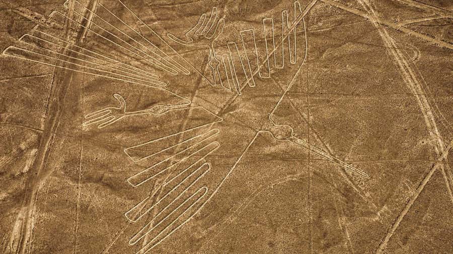 From Nazca: Flight in a light aircraft over the Nazca Lines - Should you book the Nazca Lines flight?