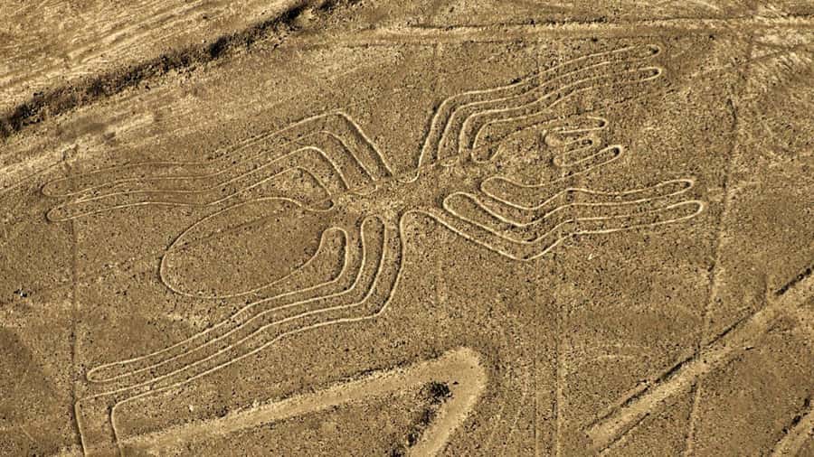 From Nazca: Small plane flight over the Nazca Lines - Key points before you book