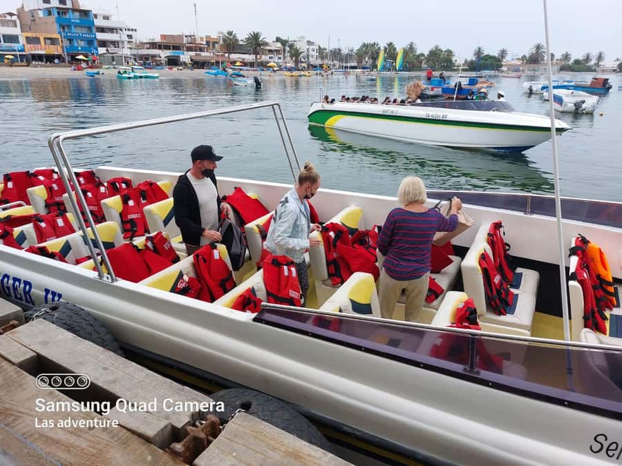 From Paracas: Ballestas Island Cruise & Paracas Reserve Tour - Key Points Before You Book