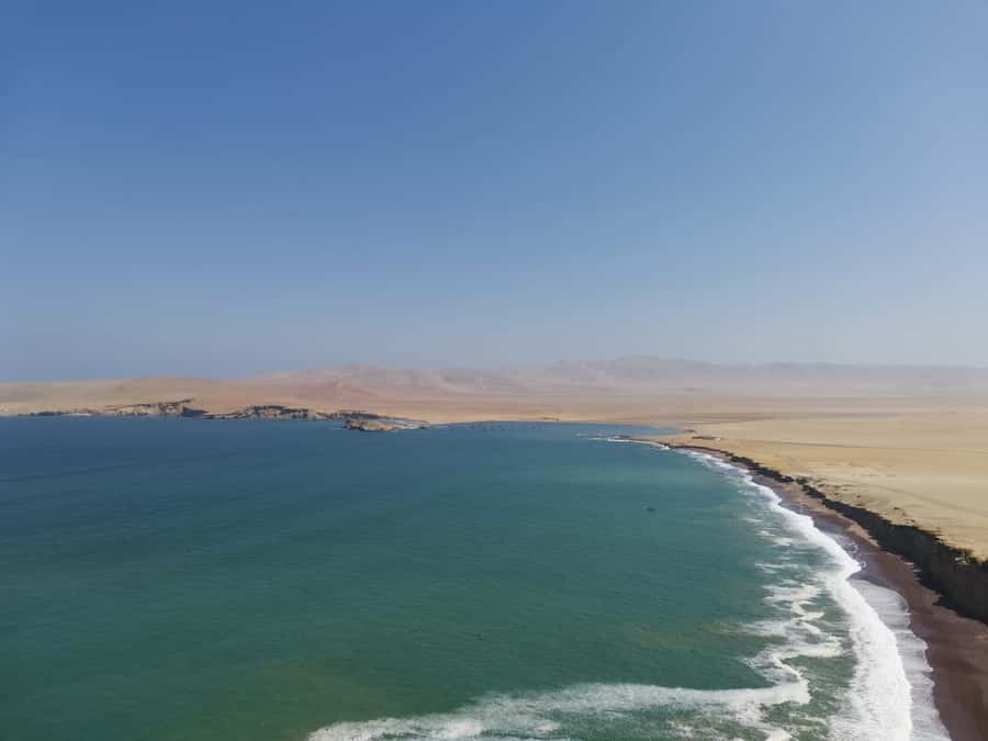 From Paracas: Ballestas Island Cruise & Paracas Reserve Tour - Guides, Language, and Group Style