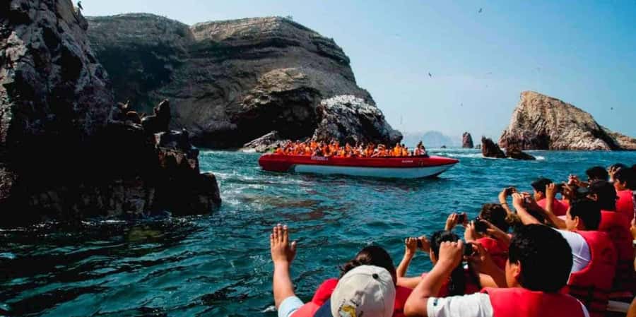 From Paracas: Ballestas Islands and Paracas National Reserve - Meeting the animals around the Ballestas Islands
