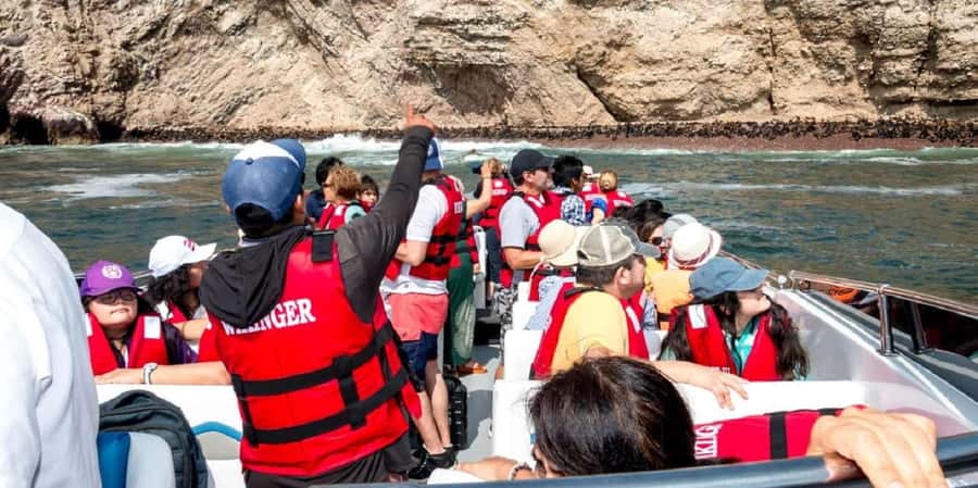 From Paracas: Ballestas Islands and Paracas National Reserve - What the $20 price really includes