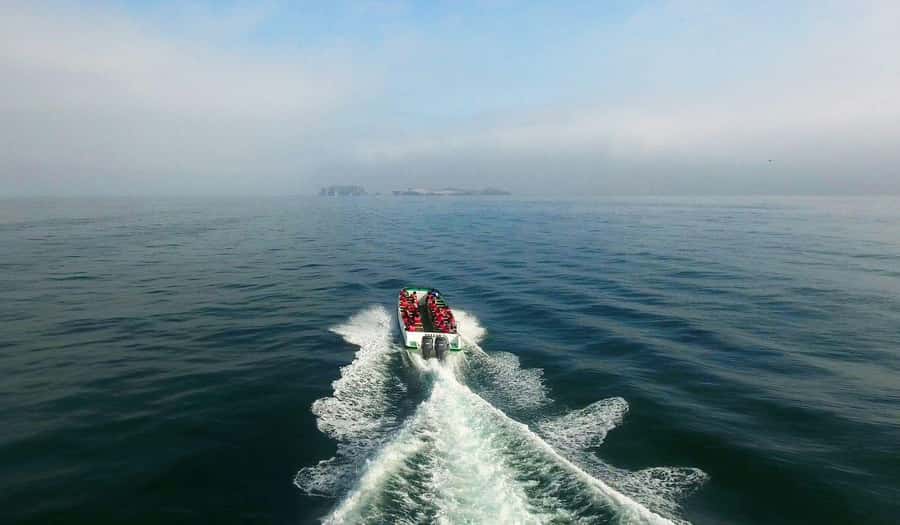 From Paracas: Ballestas Islands and Paracas National Reserve - Weather, comfort, and who should skip it