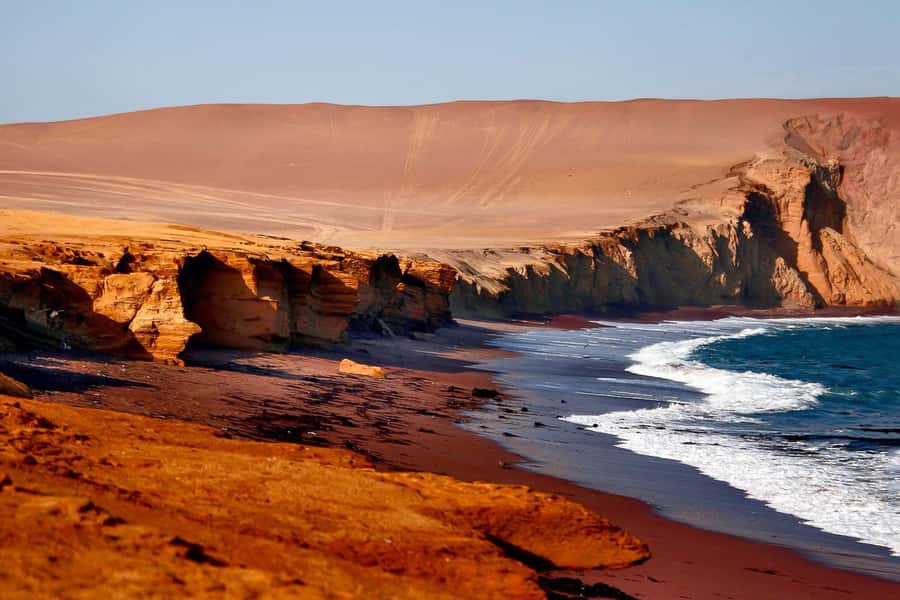 From Paracas: Ballestas Islands & Paracas National Reserve - Why this combined Paracas tour works so well