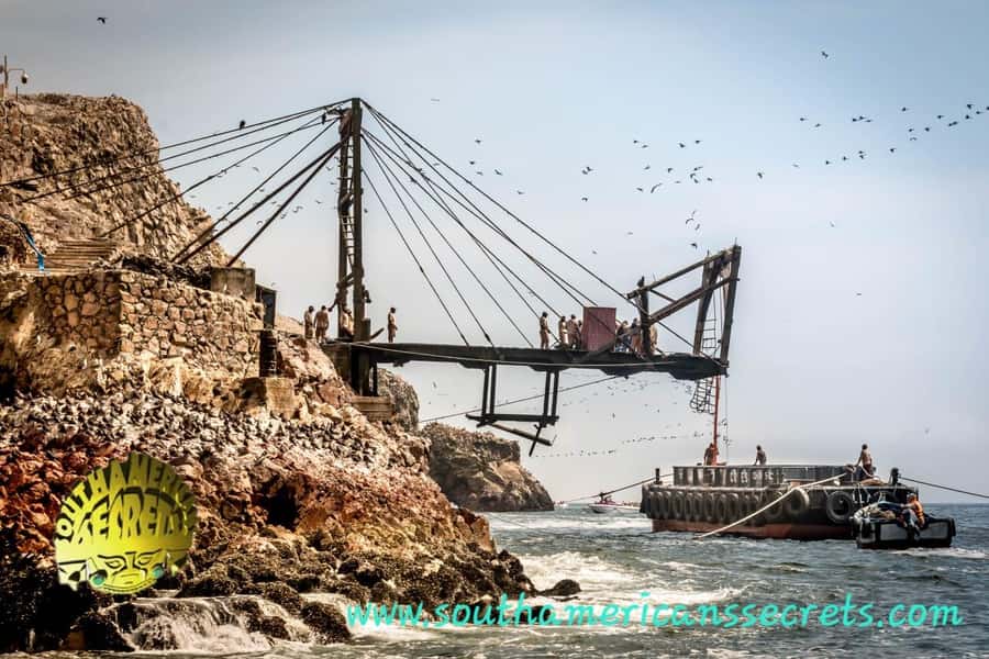 From Paracas: Ballestas Islands tour all Inclusive - Why the Ballestas Islands are worth your morning