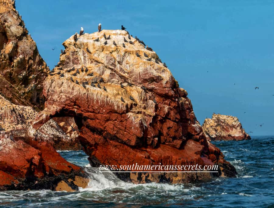 From Paracas: Ballestas Islands tour all Inclusive - The first boat ride and the port views