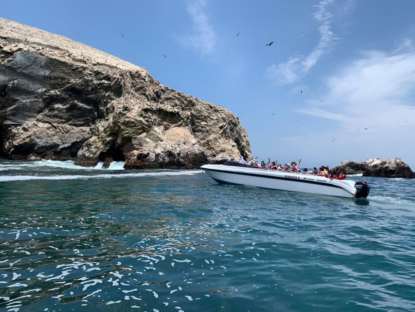 From Paracas: Ballestas Islands tour all Inclusive - Timing, weather, and what to pack