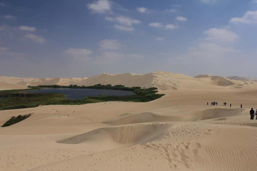 From Paracas: Mini Buggy Tour & Sandboarding at Oasis - What to bring and what to leave behind