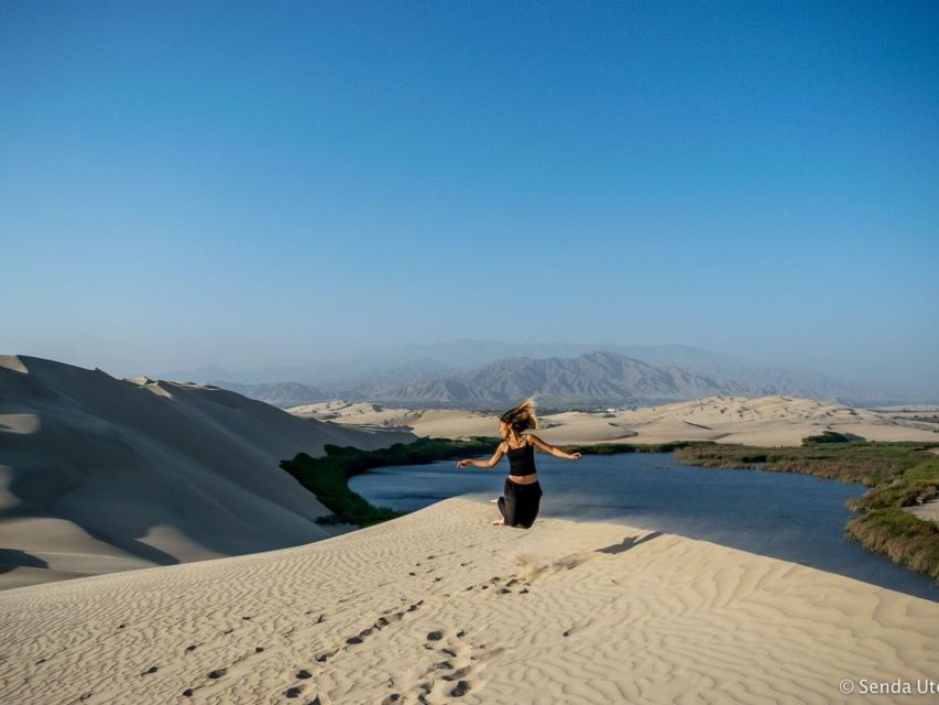 From Paracas: Mini Buggy Tour & Sandboarding at Oasis - Arriving at Costa Rica Oasis