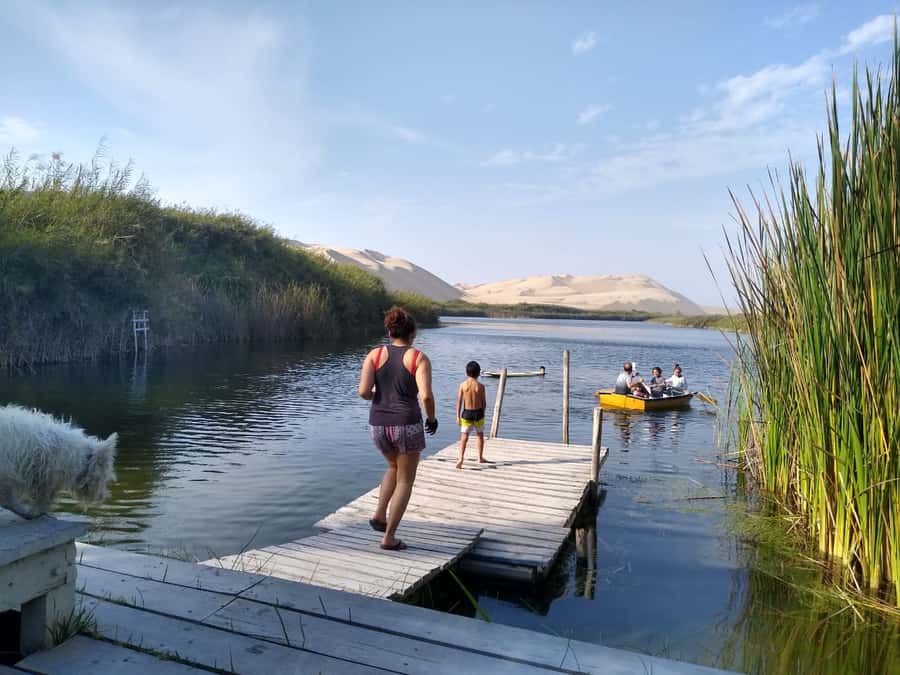 From Paracas: Mini Buggy Tour & Sandboarding at Oasis - Returning directly to Paracas