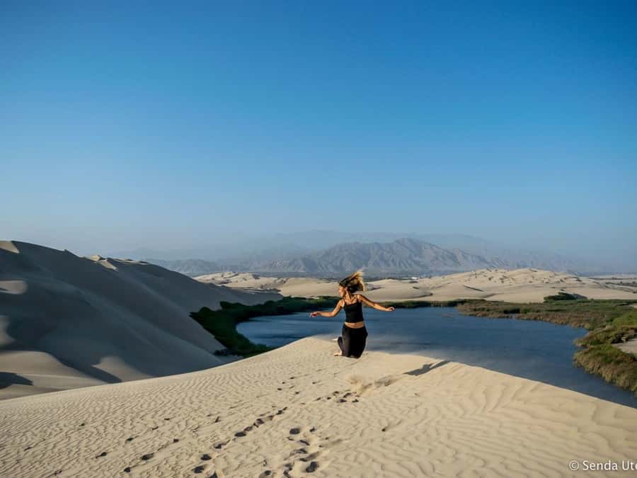 From Paracas: Mini Buggy Tour & Sandboarding at Oasis - Who will enjoy this outing most