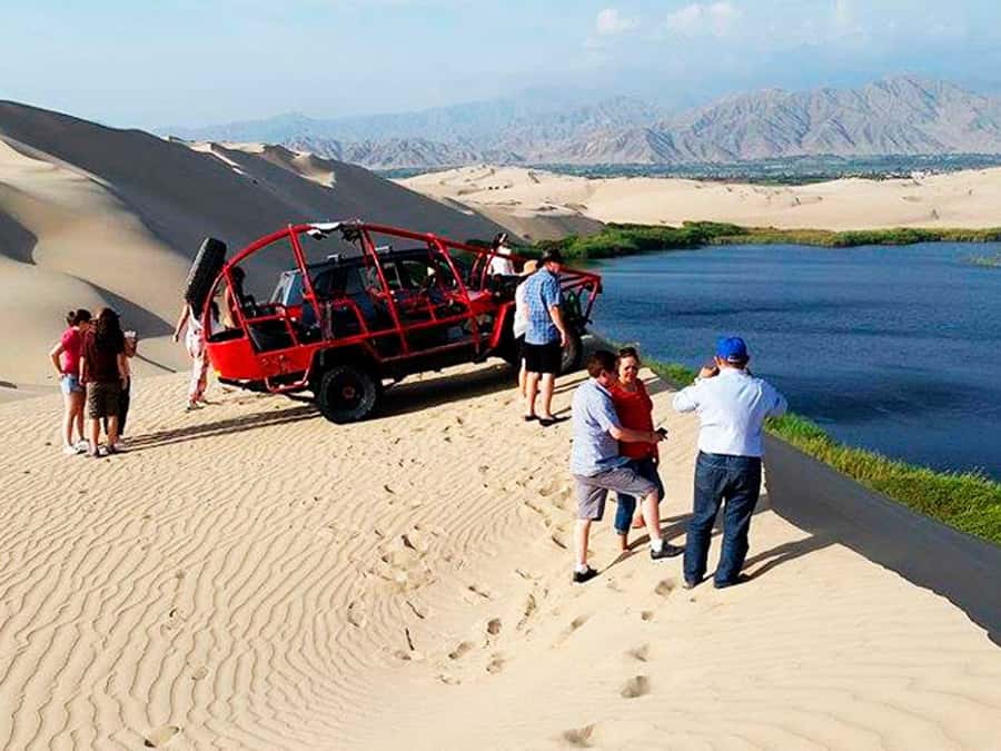 From Paracas: Mini Buggy Tour & Sandboarding at Oasis - What the buggy ride is really like