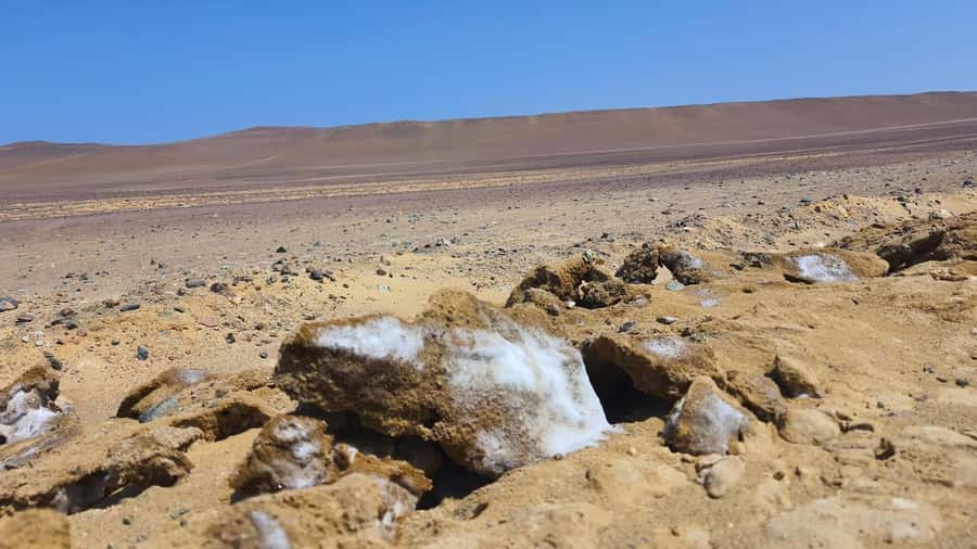 From Paracas: Paracas National Reserve Private Tour - Key Points At A Glance