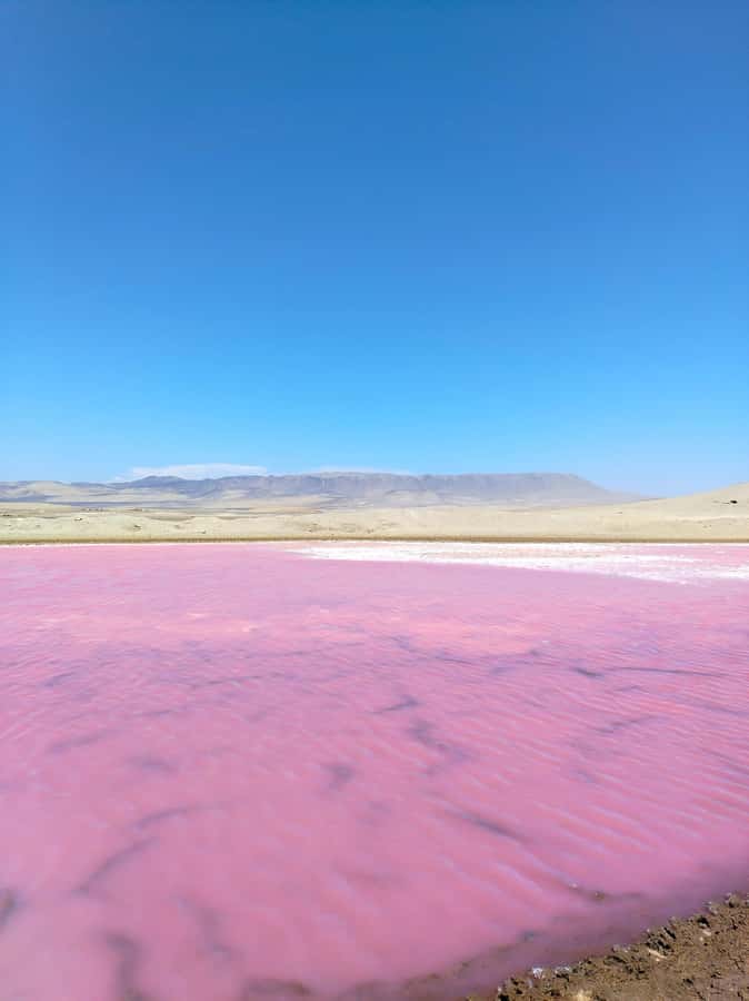 From Paracas: Paracas National Reserve Private Tour - Why The Paracas Reserve Is Worth Your Time