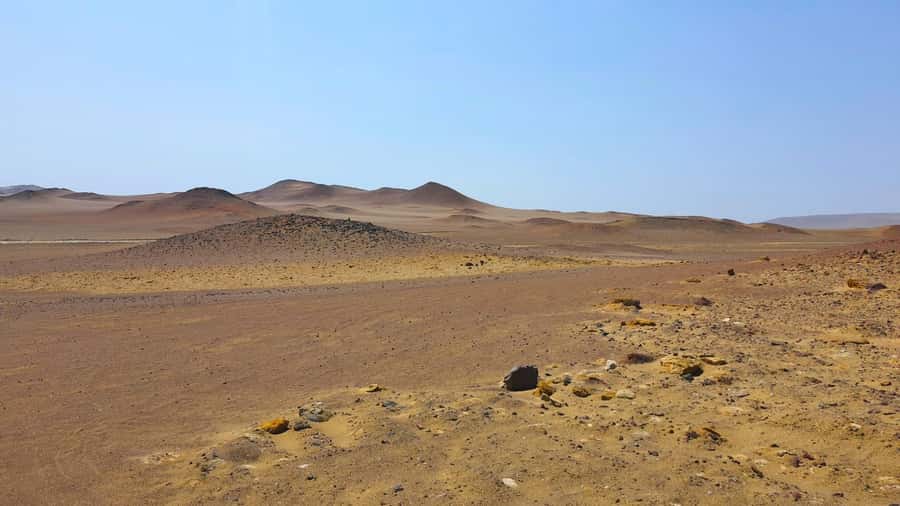 From Paracas: Paracas National Reserve Private Tour - Entering A Protected Coastal Reserve