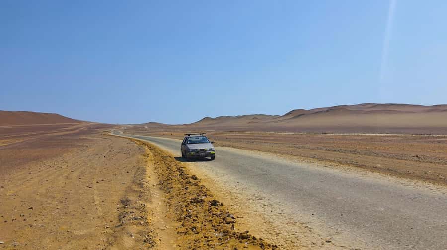 From Paracas: Paracas National Reserve Private Tour - The Visitor Center And Local Wildlife