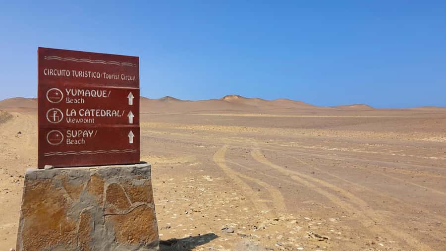 From Paracas: Paracas National Reserve Private Tour - Lagunillas Beach And The Coastal Route