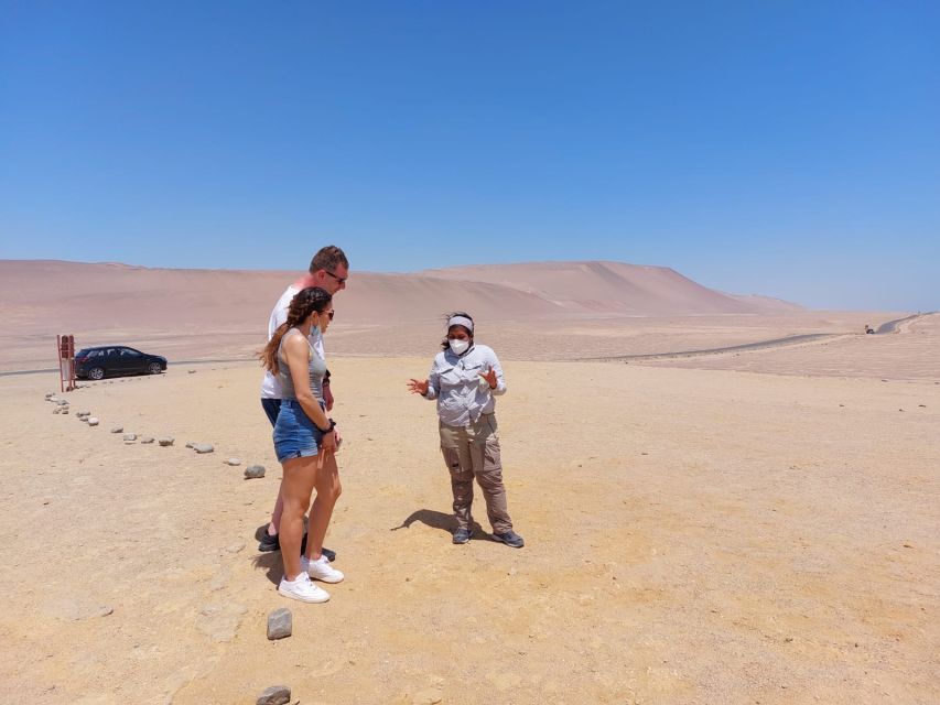 From Paracas: Paracas National Reserve Private Tour - Birdlife, Sea Lions, And What To Bring