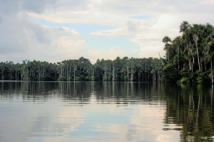 From Puerto Maldonado - Tambopata 4D/3N - Key points to know before booking