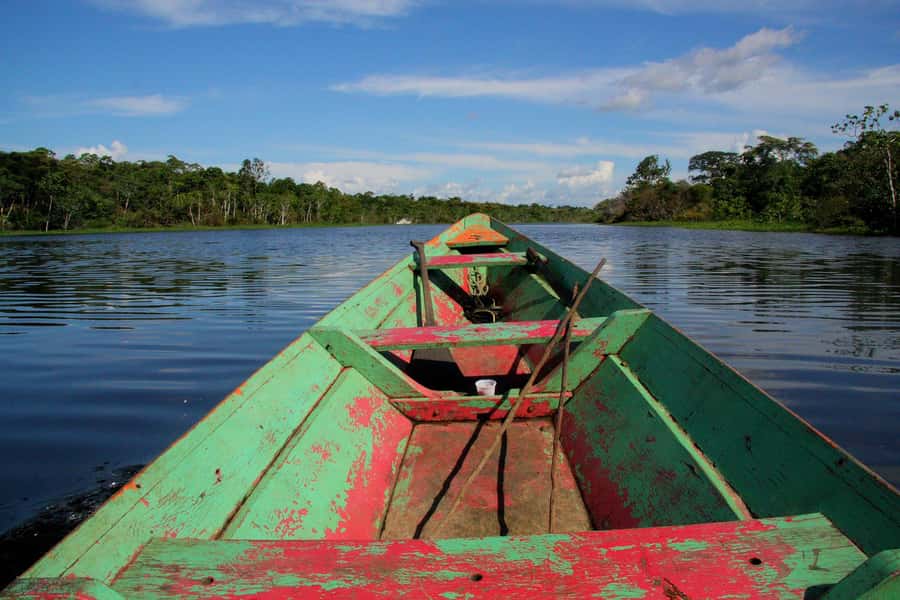 From Puerto Maldonado - Tambopata 4D/3N - Day 3: Lake Sandoval and the forest after dark