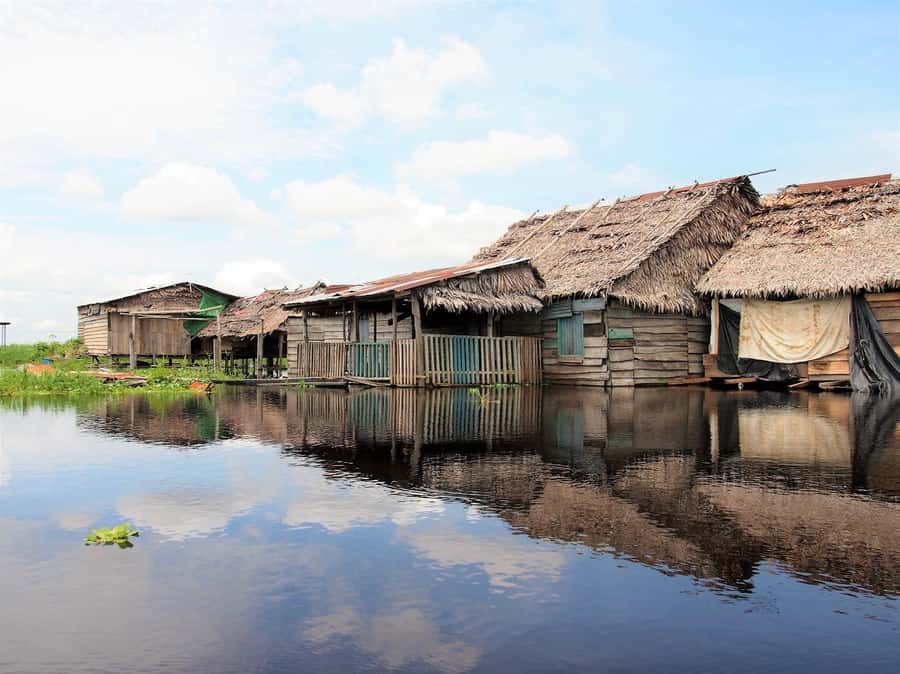 From Puerto Maldonado - Tambopata 4D/3N - Guides, group size, and organization