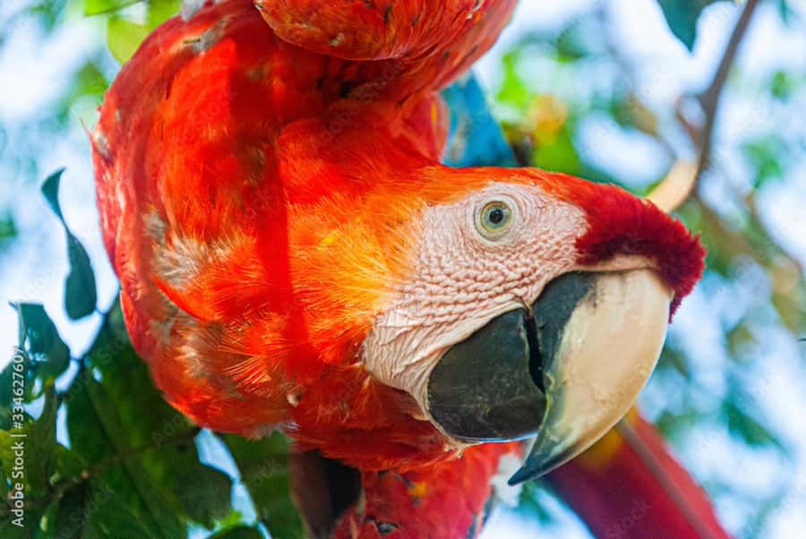 From Puerto Maldonado - Tambopata 4D/3N - What to pack for the jungle