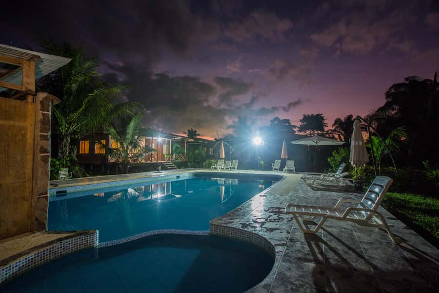 From Puerto Maldonado: Tambopata National Reserve 3-Day Tour - Sandoval Lake: the strongest wildlife day