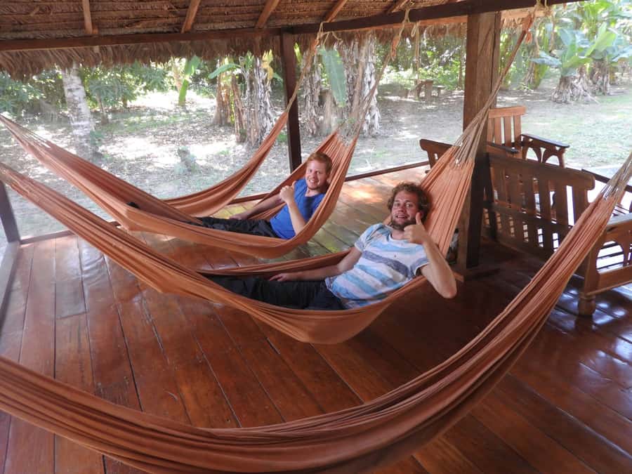 From Puerto Maldonado: Tambopata National Reserve 3-Day Tour - Canopy views before returning to Puerto Maldonado