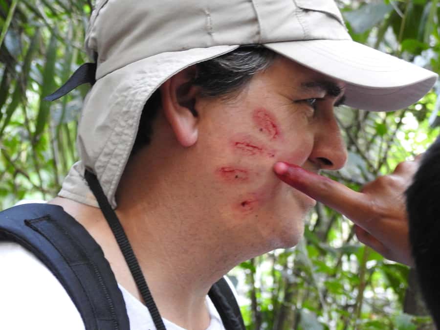 From Puerto Maldonado: Tambopata National Reserve 3-Day Tour - Health, comfort, and who should skip it