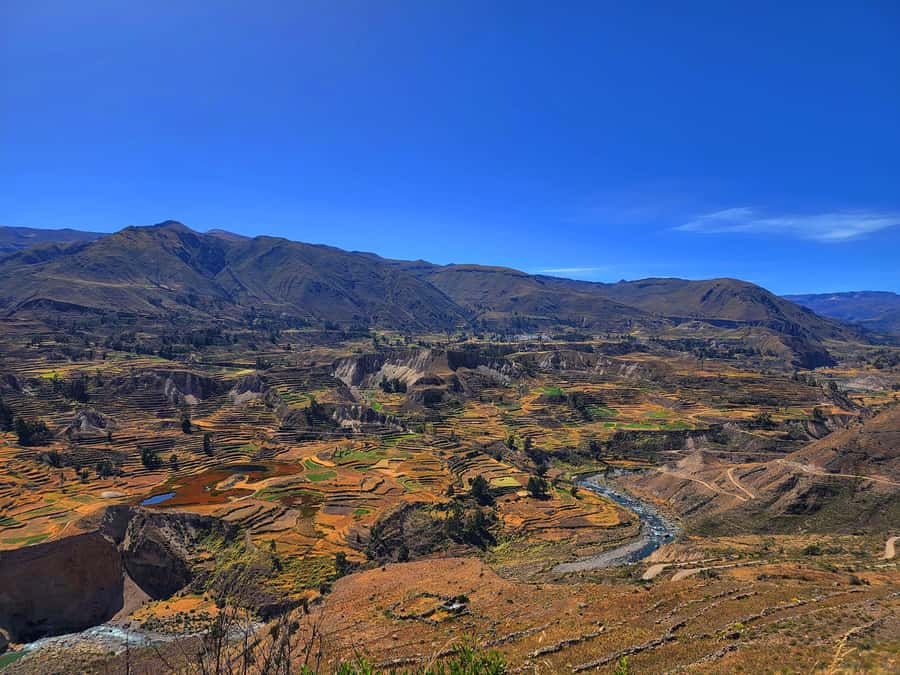 From Puno: 2-Day Tour to Colca Canyon ending in Arequipa - Key points to know before booking
