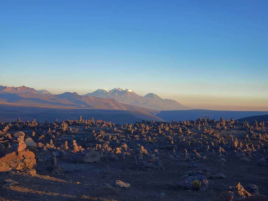 From Puno: 2-Day Tour to Colca Canyon ending in Arequipa - Cruz del Cóndor and the morning flight