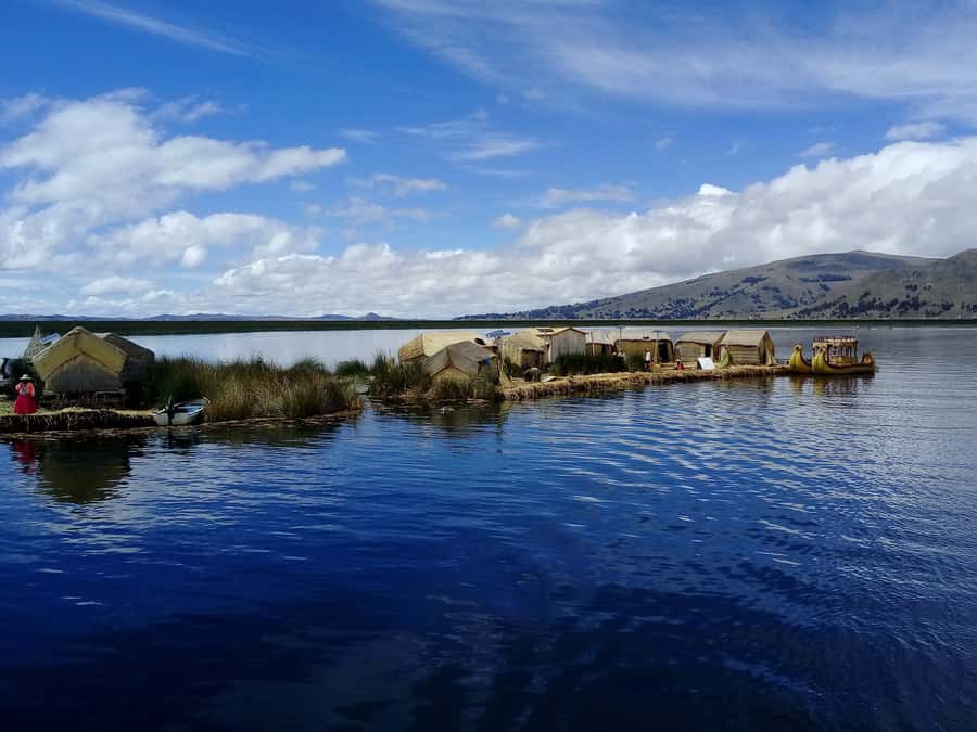 From Puno: Floating Islands of the Uros Half-Day Tour - Price, timing, and who gets the best value
