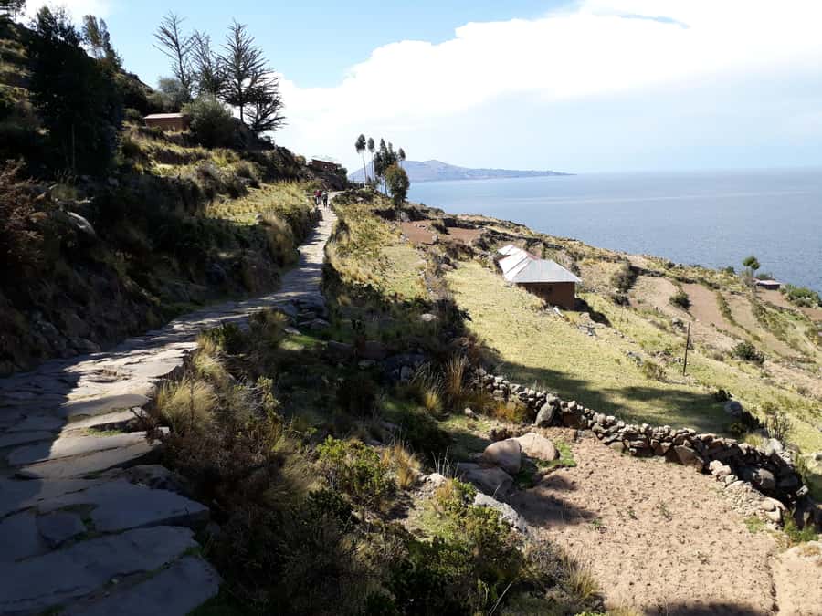 From Puno: full day tour to Uros and Taquile with Lunch - Key points before you book