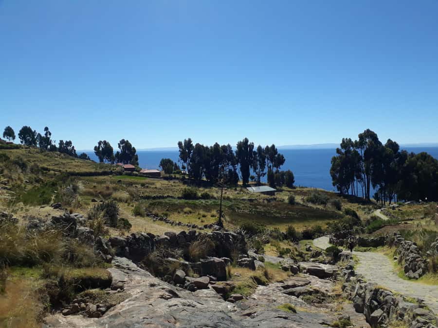 From Puno: full day tour to Uros and Taquile with Lunch - The 1.5-Hour Speedboat Ride to Taquile