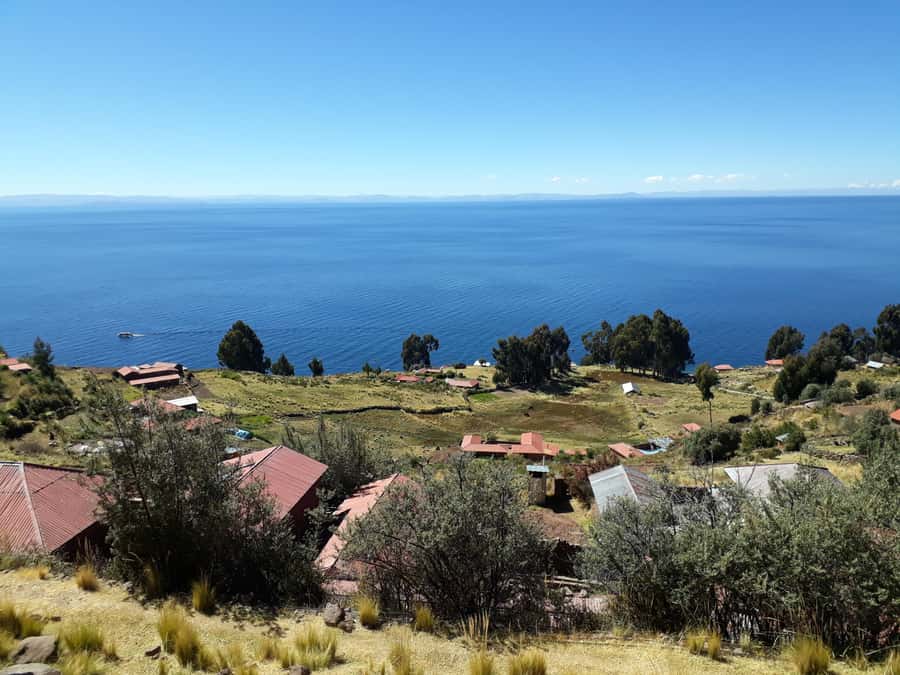 From Puno: full day tour to Uros and Taquile with Lunch - Grilled Trout Lunch on Taquile