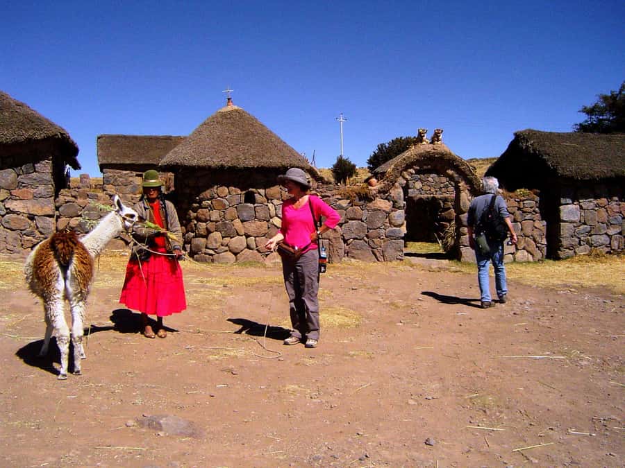 From Puno: Sillustani Tombs and Tourist View Point Puma - Lake Umayo gives the ruins their mood