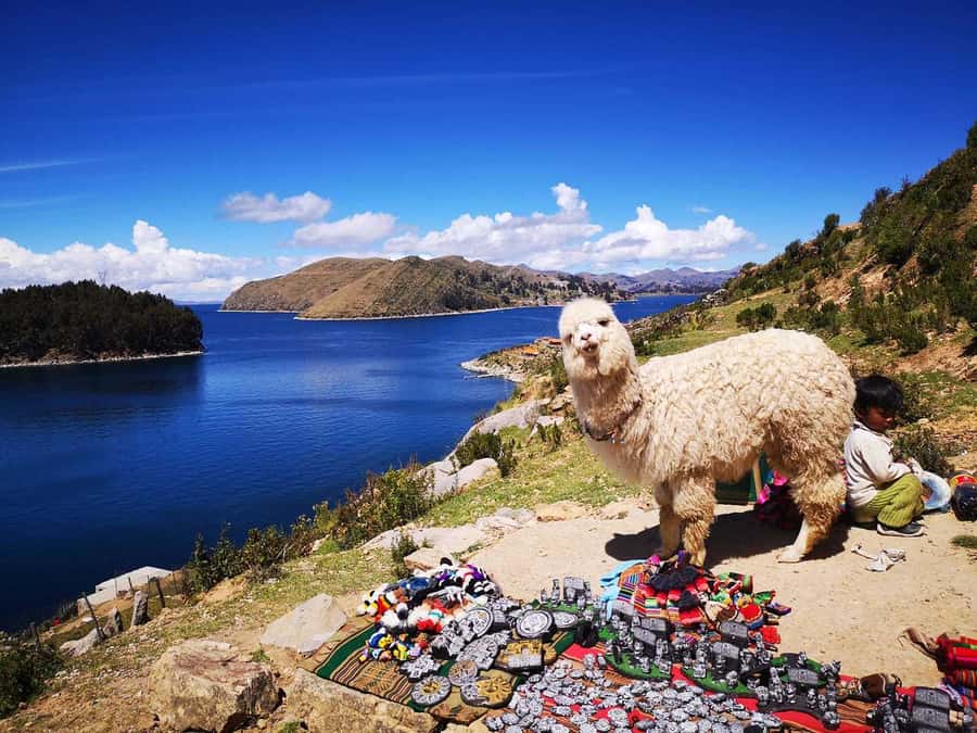 From Puno: Sun Island and Copacabana 1-Day Tour - Key points before you book